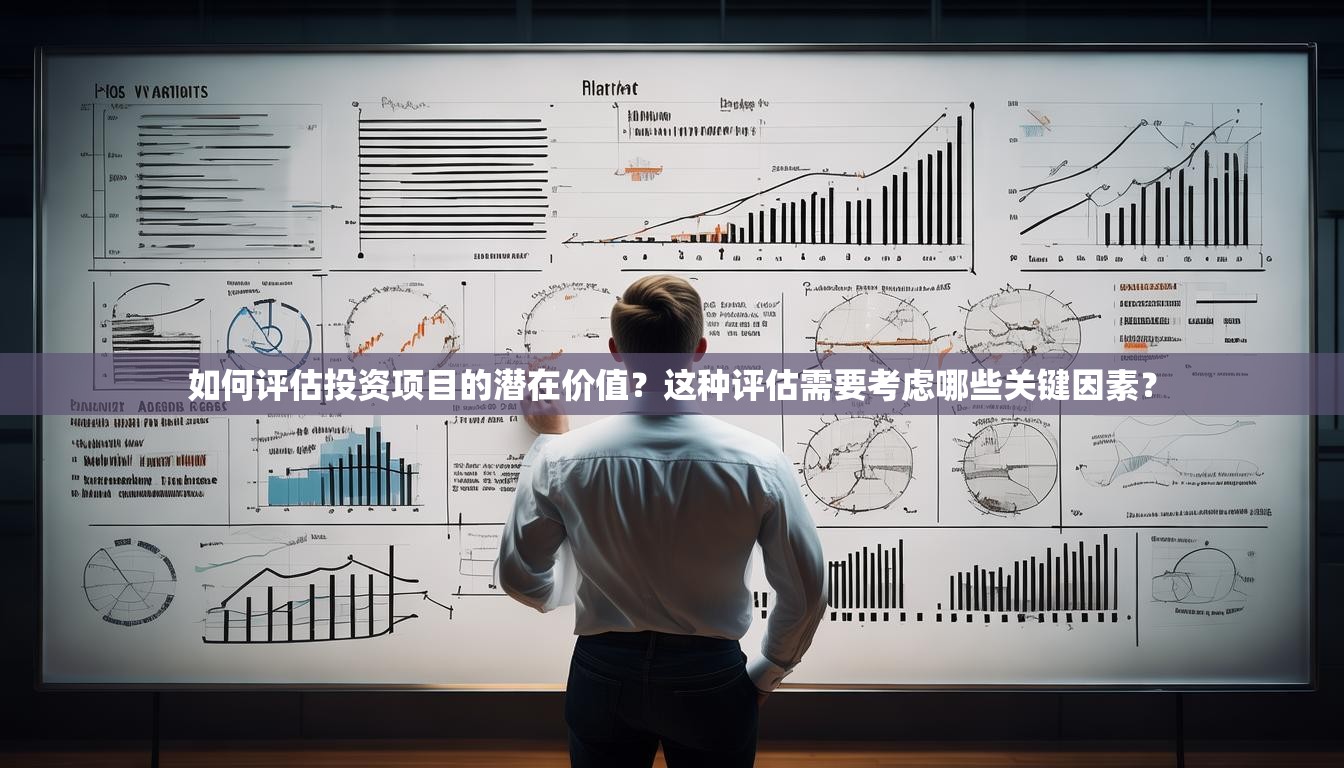 如何评估投资项目的潜在价值？这种评估需要考虑哪些关键因素？