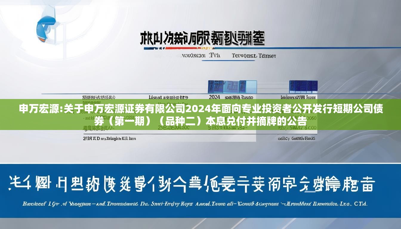 申万宏源:关于申万宏源证券有限公司2024年面向专业投资者公开发行短期公司债券（第一期）（品种二）本息兑付并摘牌的公告